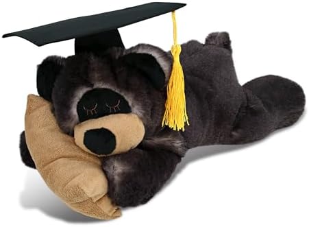DolliBu Graduation Plush Bear with Pillow