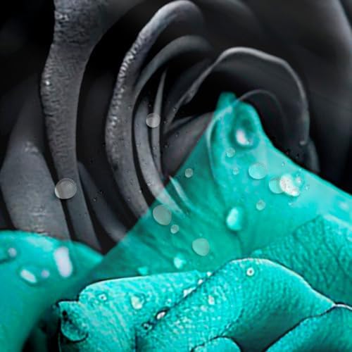 Erosebridal Black and Teal 3D Rose Shower Curtain Set