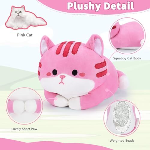 Kawaii Weighted Cat Plush