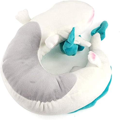 Dragon Neck PillowMeteor Fees