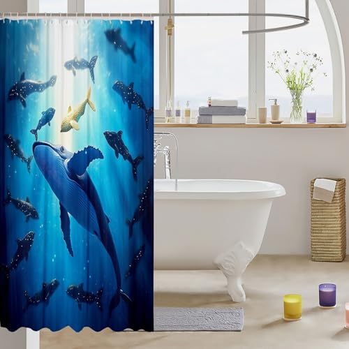 Kids Dolphin