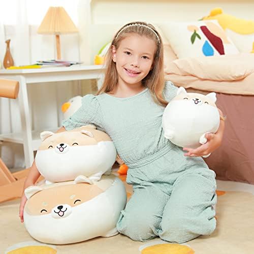 Auspicious Beginning Shiba Inu Plush Toy