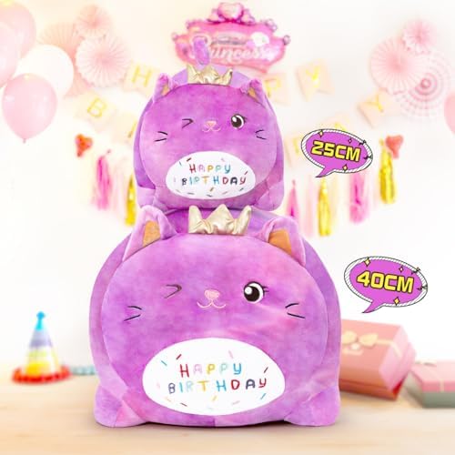 Happiest Birthday Sleepy Pillow