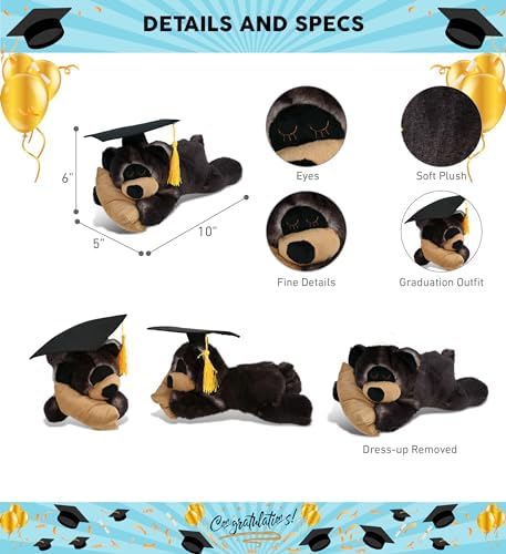 DolliBu Graduation Plush Bear with Pillow