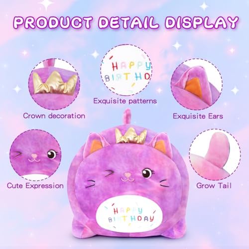 Happiest Birthday Sleepy Pillow
