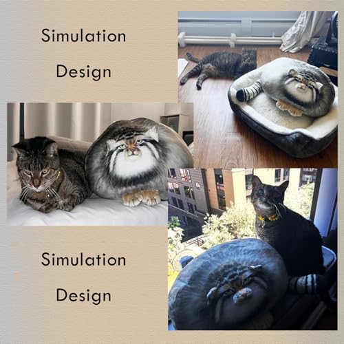Cuddle Your Cat - Huggable Plush Pillow for Kids Adults