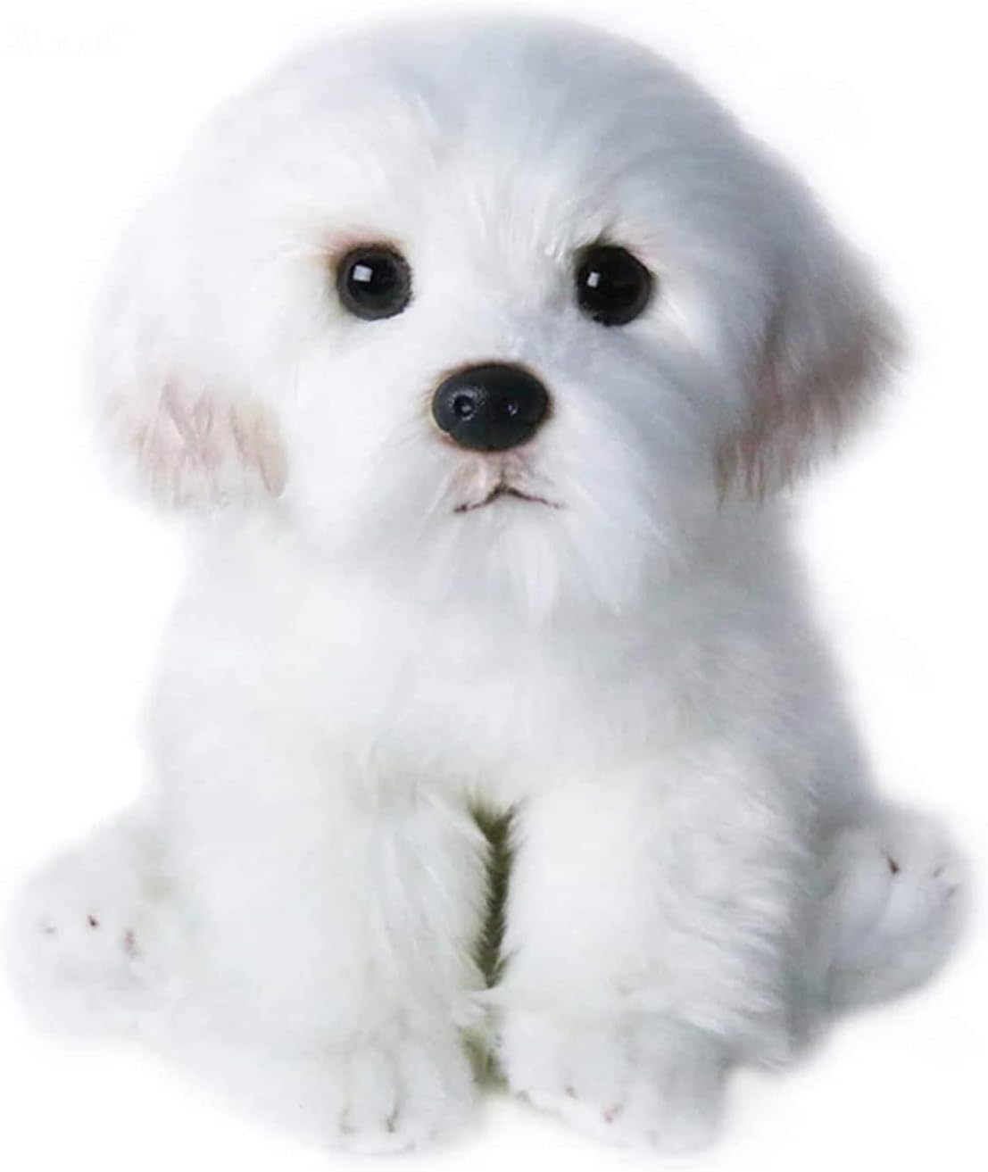 QREZAA 14 Realistic Plush Maltese Dog