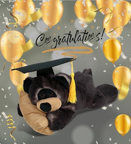 DolliBu Graduation Plush Bear with Pillow