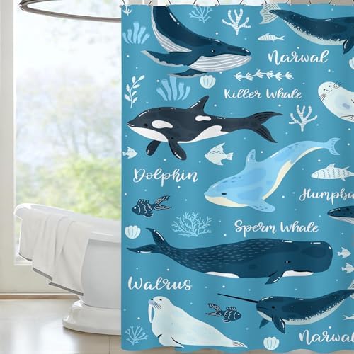 QOOMO Whales Seals Shower Curtain 72x72