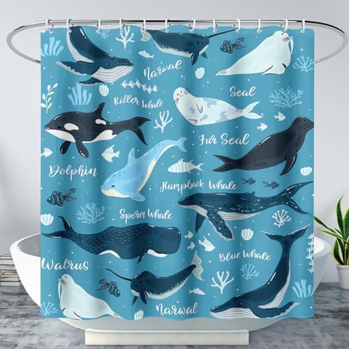 QOOMO Whales Seals Shower Curtain 72x72