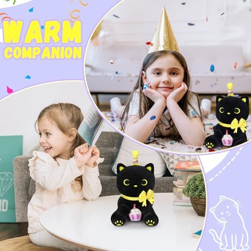 Black Cat Plush - Happy Birthday Stuffed Animal