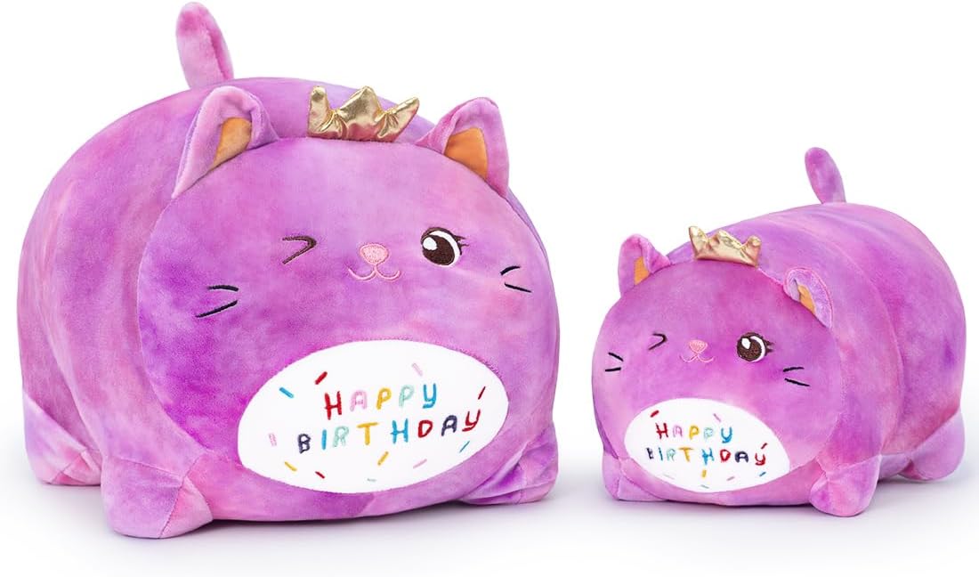 Happiest Birthday Sleepy Pillow