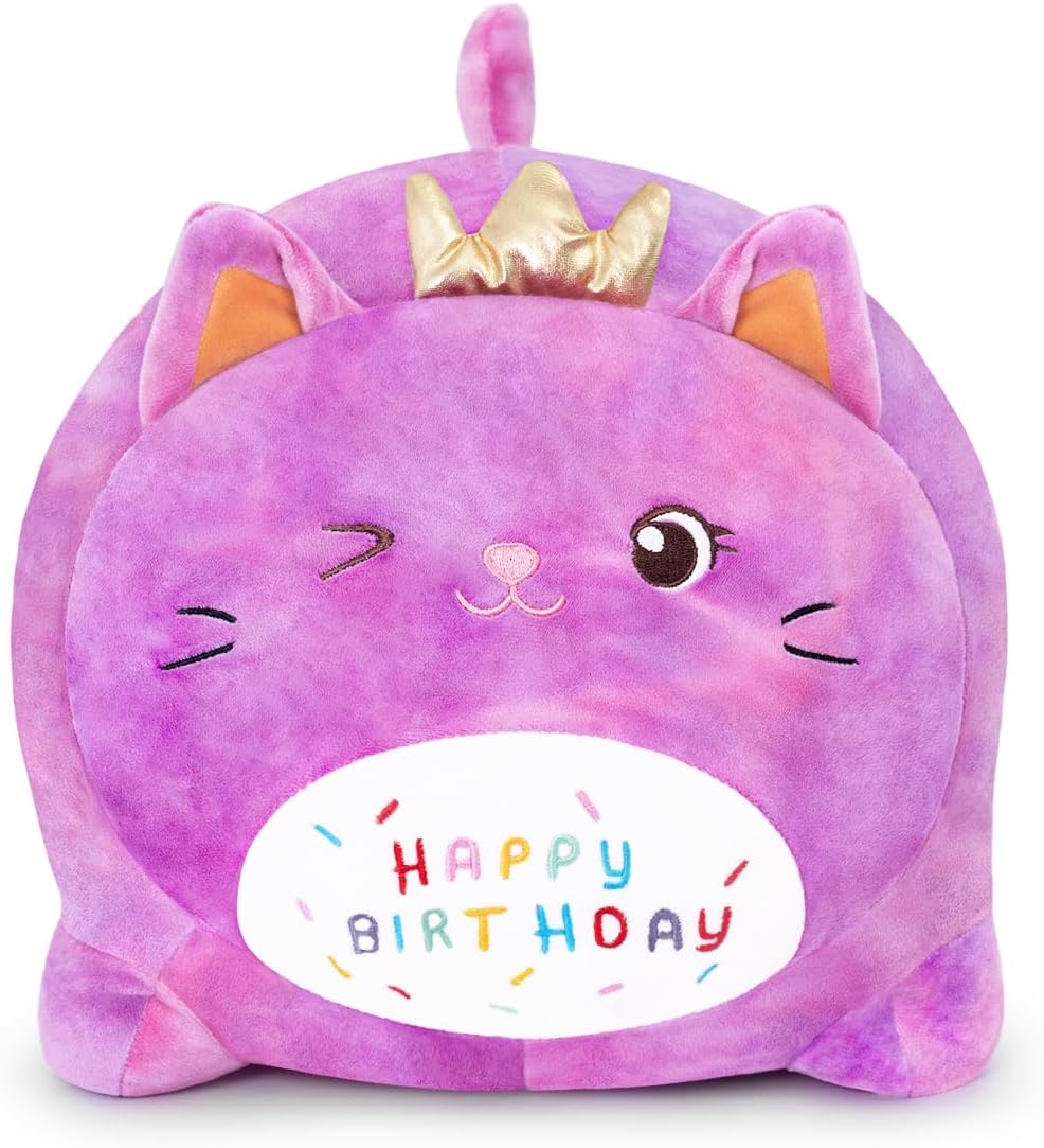 Happiest Birthday Sleepy Pillow