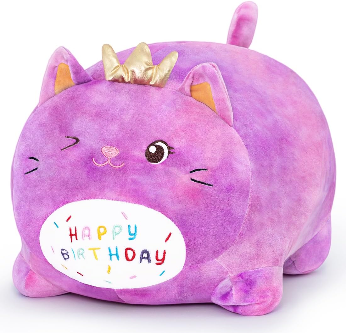 Happiest Birthday Sleepy Pillow